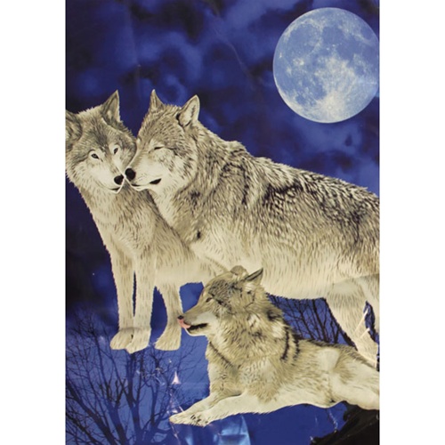 Queen Size Blanket Wolves under Moon